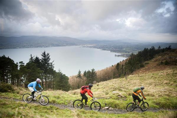 East Coast Adventure Centre Glamping Hotell Rostrevor Exteriör bild