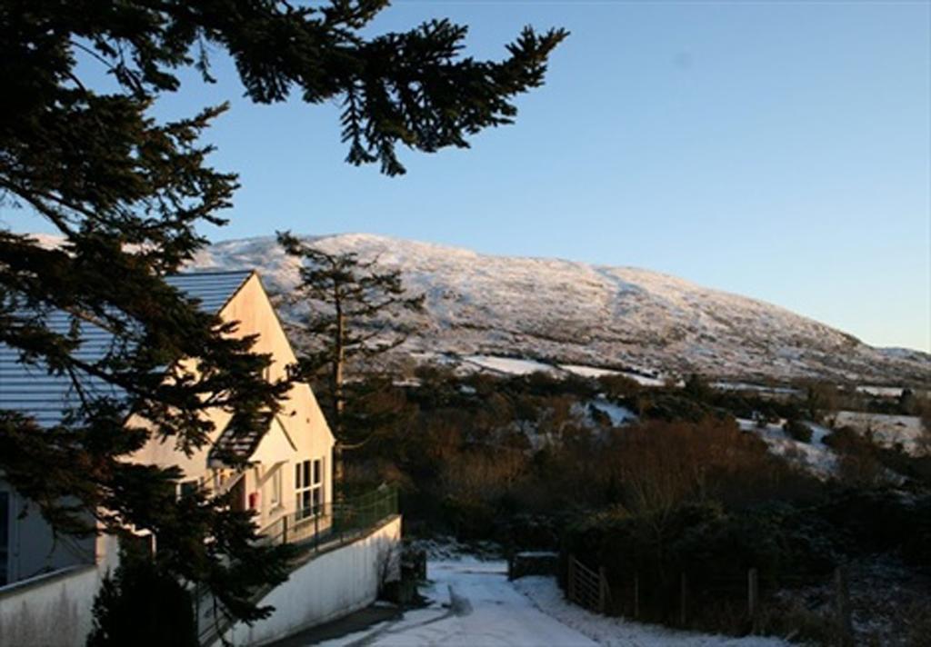East Coast Adventure Centre Glamping Hotell Rostrevor Exteriör bild