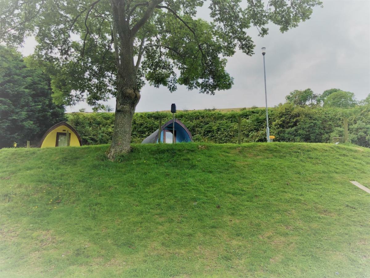 East Coast Adventure Centre Glamping Hotell Rostrevor Exteriör bild