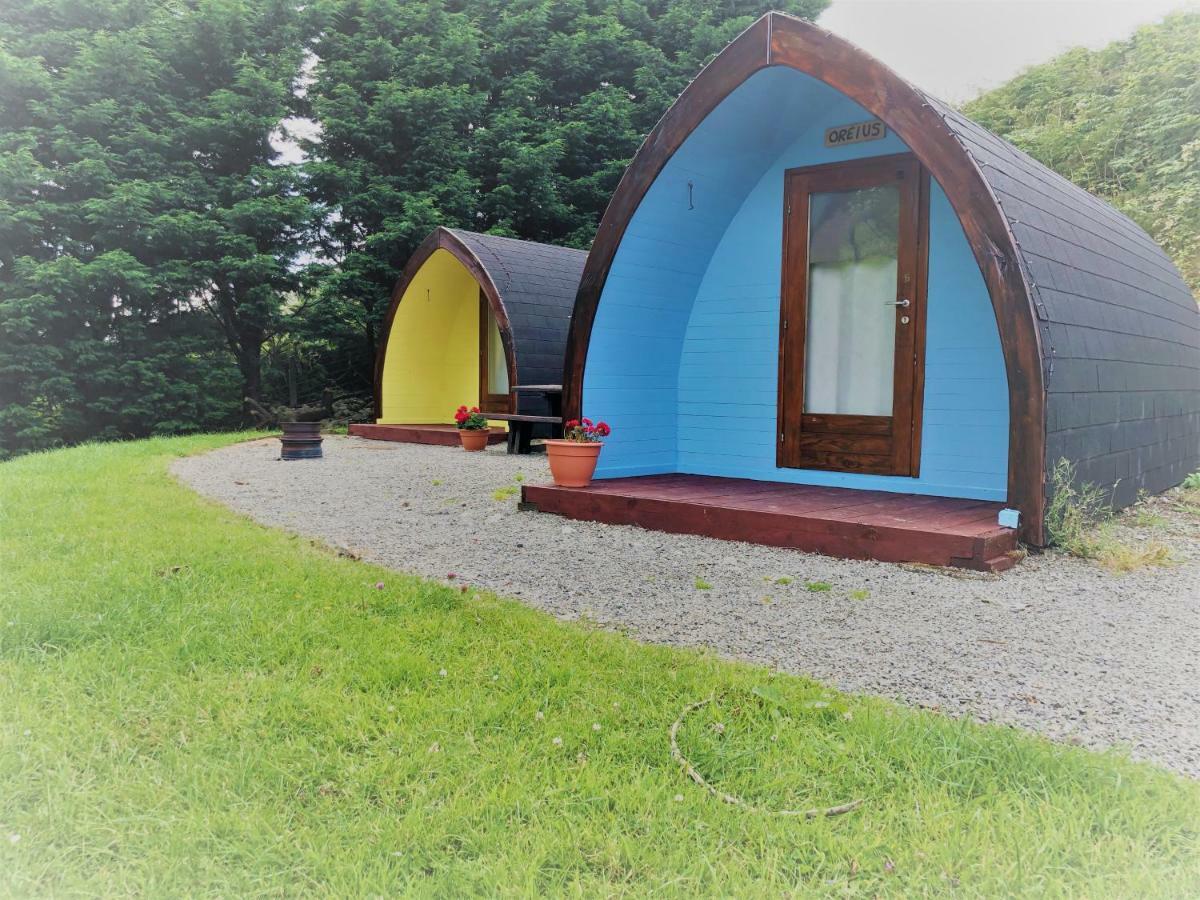 East Coast Adventure Centre Glamping Hotell Rostrevor Exteriör bild
