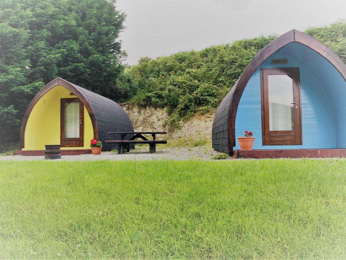 East Coast Adventure Centre Glamping Hotell Rostrevor Exteriör bild